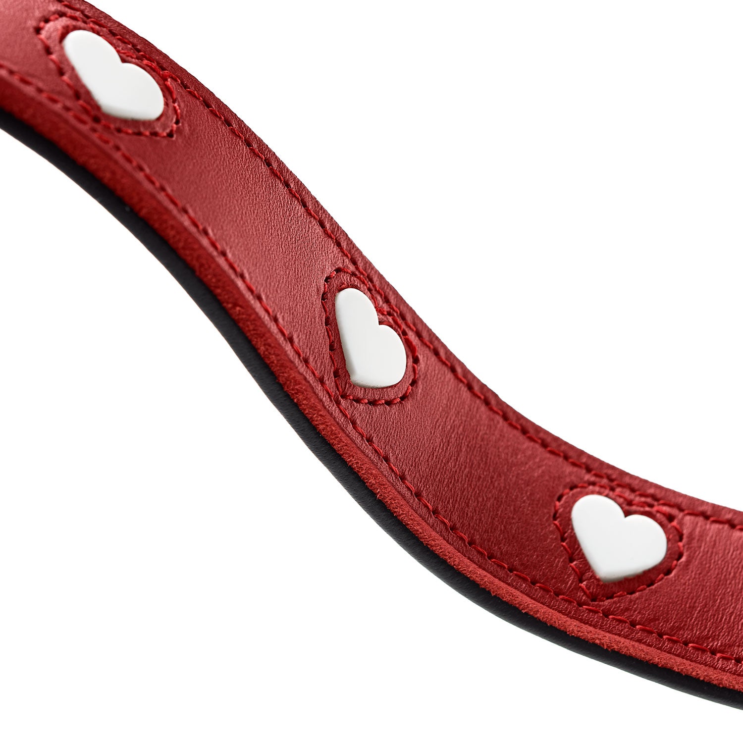 Alpen LOVE Leashes - Premium Dog Leashes for Small & Medium Dogs - Durable & Comfortable for Walking, Training & Outdoor Adventures