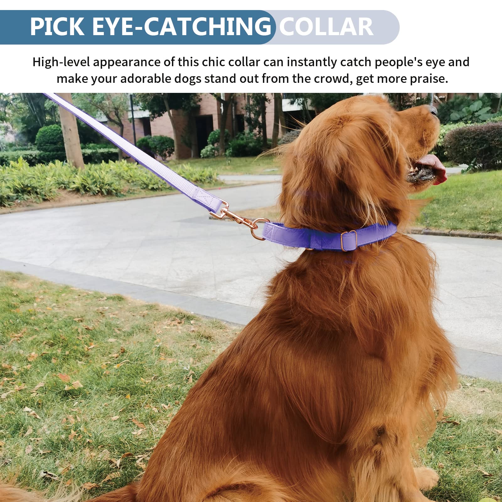 Premium Soft Leather Martingale Dog Collar - Adjustable Rose Gold Slip Collar for Small Medium Large Dogs | Durable No-Pull Training Collar with Stylish Purple Nylon | Easy to Clean & Comfortable | Perfect for Daily Walks, Obedience Training & Fashionable Pet Accessories