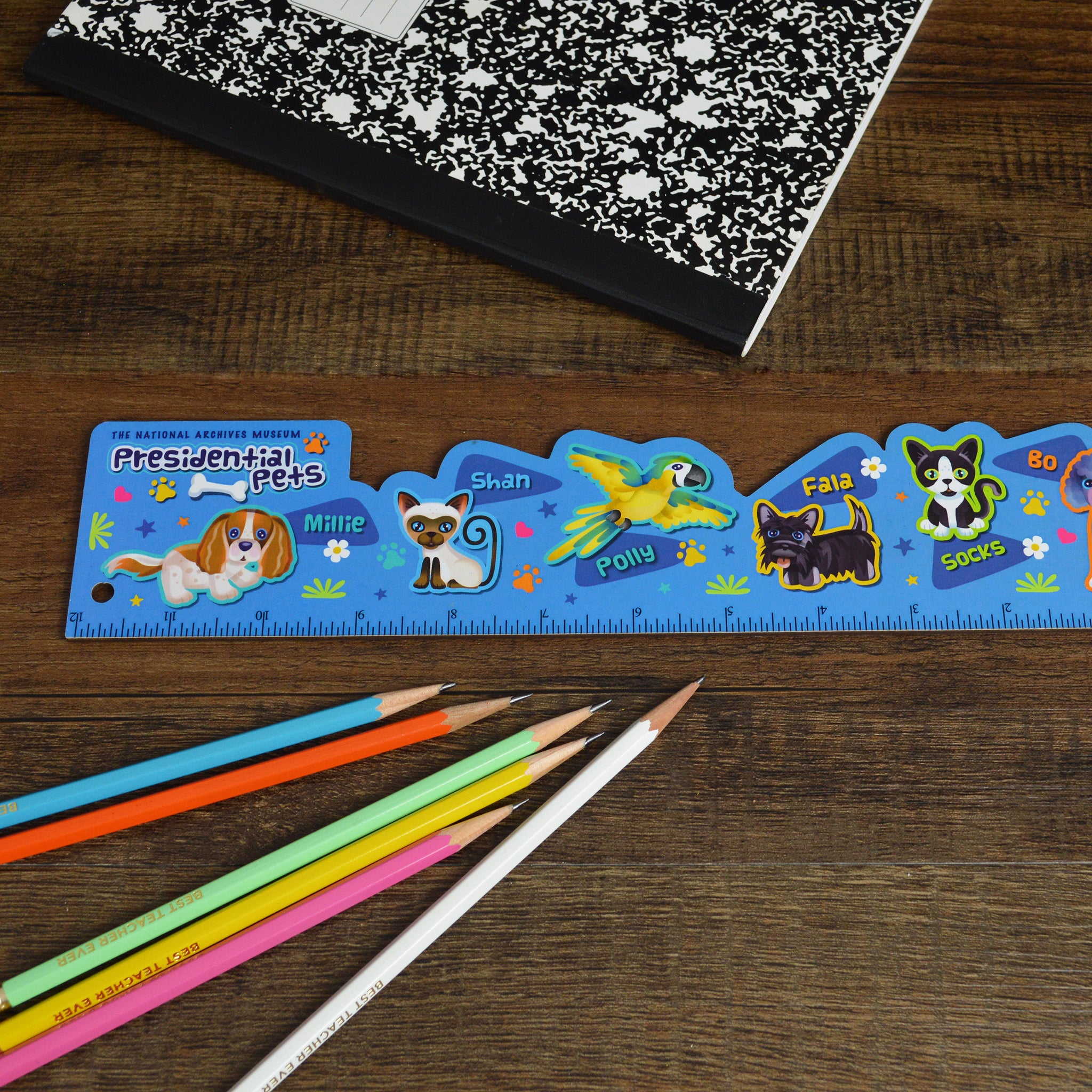 Presidential Pets Blue Ruler - 12 Inch Plastic School Ruler with Inch & Metric Measurements for Kids, Students, Office & Classroom Supplies | Perfect for Measuring, Drawing & Math Homework