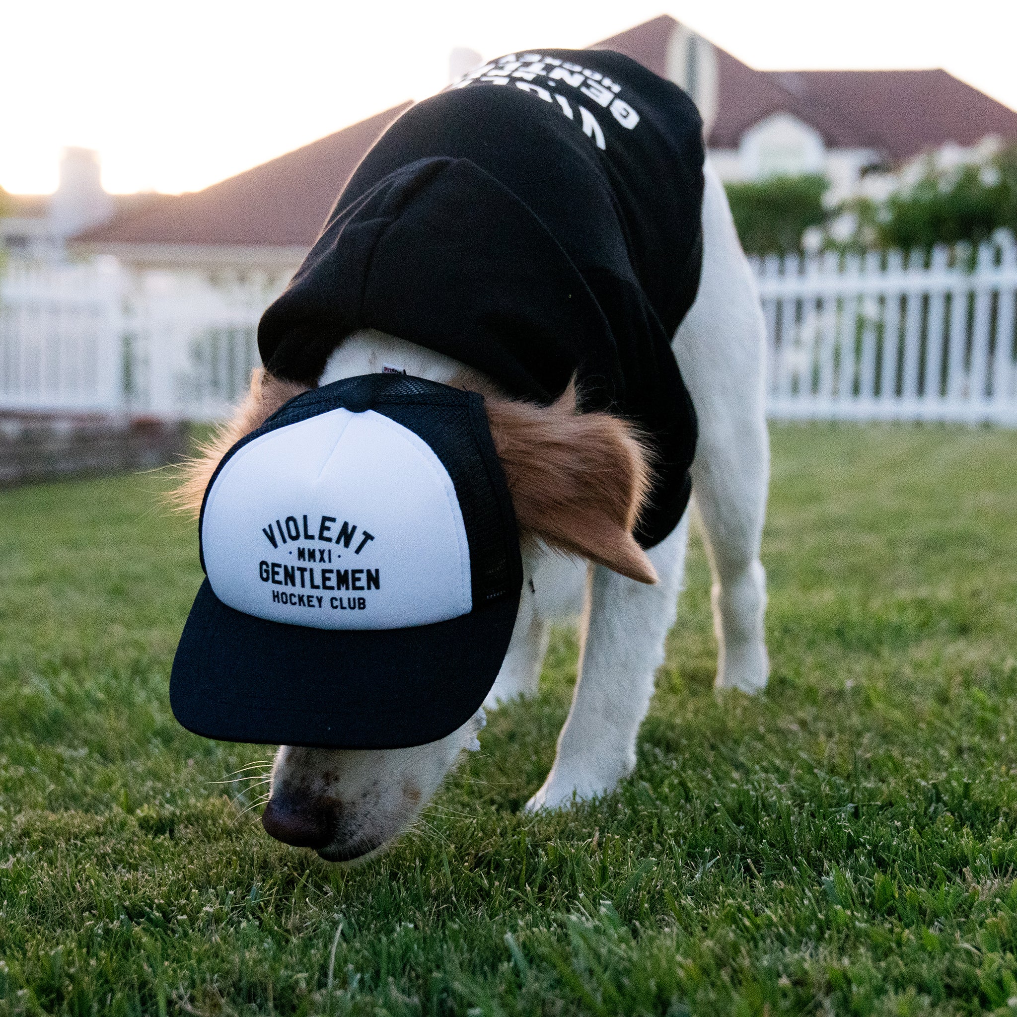 Loyalty Pet Foam Trucker Hat - Adjustable Baseball Cap for Dogs - Comfortable & Breathable Dog Hat for Outdoor Adventures, Hiking, and Photo Shoots