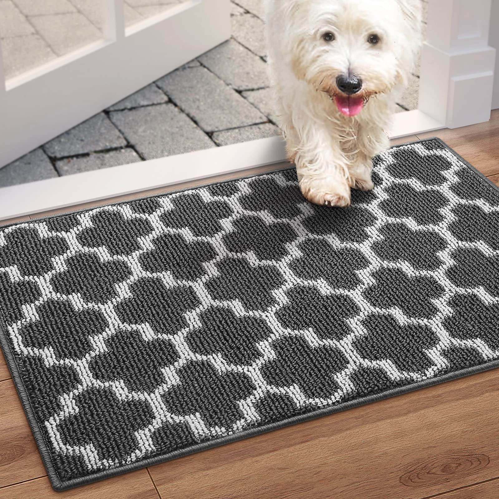 Non-Slip Absorbent Indoor Outdoor Door Mat - WISELIFE Low Profile Dirt Resistant Entryway Rug for Home, Garage & Entrance (20