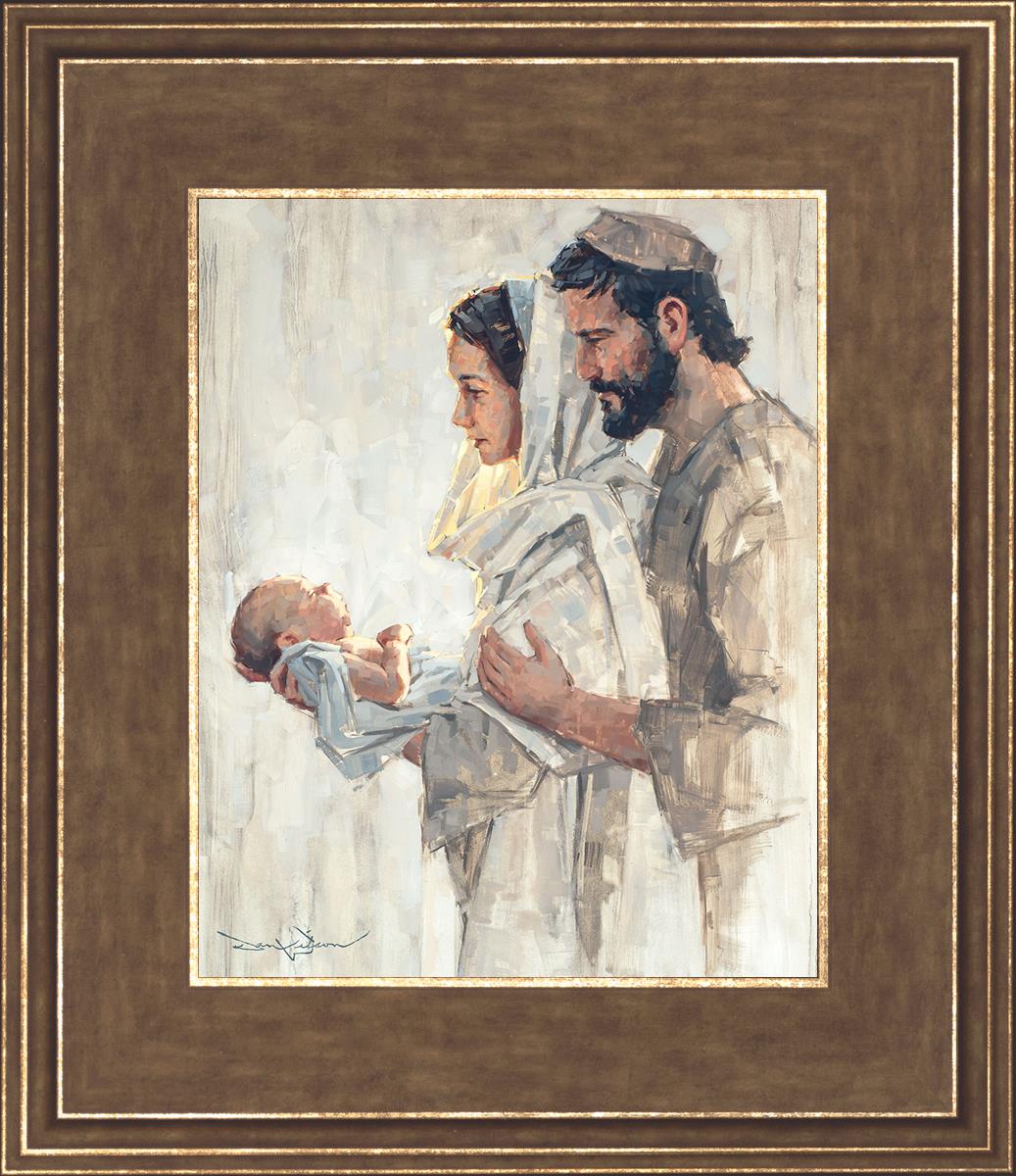 A Light Unto Us by Dan Wilson - Inspirational Christian Book for Daily Devotionals & Bible Study