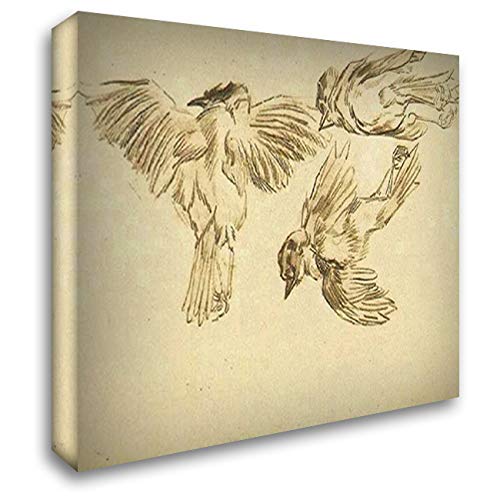 Vincent Van Gogh Studies of A Dead Sparrow 24x20 Gallery Wrapped Canvas Art - Perfect for Living Room, Bedroom & Office Wall Decor