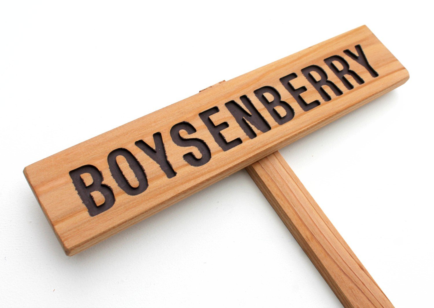 Boysenberry Garden Sign - Custom Berry & Fruit Marker for Outdoor Yard Art - Summer Berries Signage - Perfect for Garden Decor & Farmhouse Style Landscaping