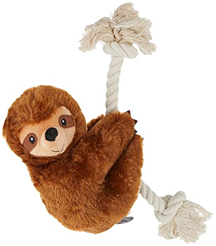 Brown Sloth On A Rope