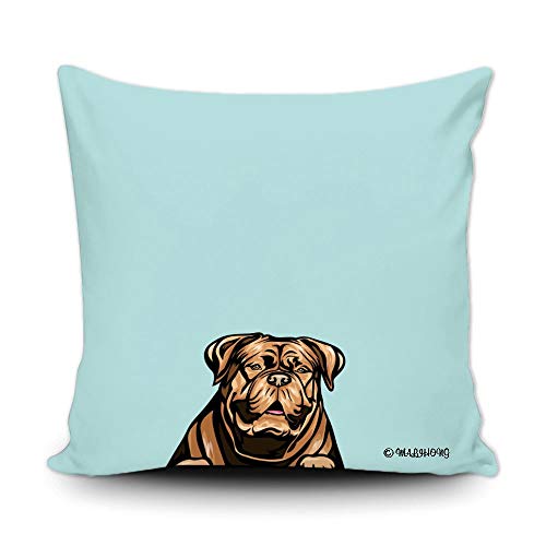 Dogue De Bordeauzx-6