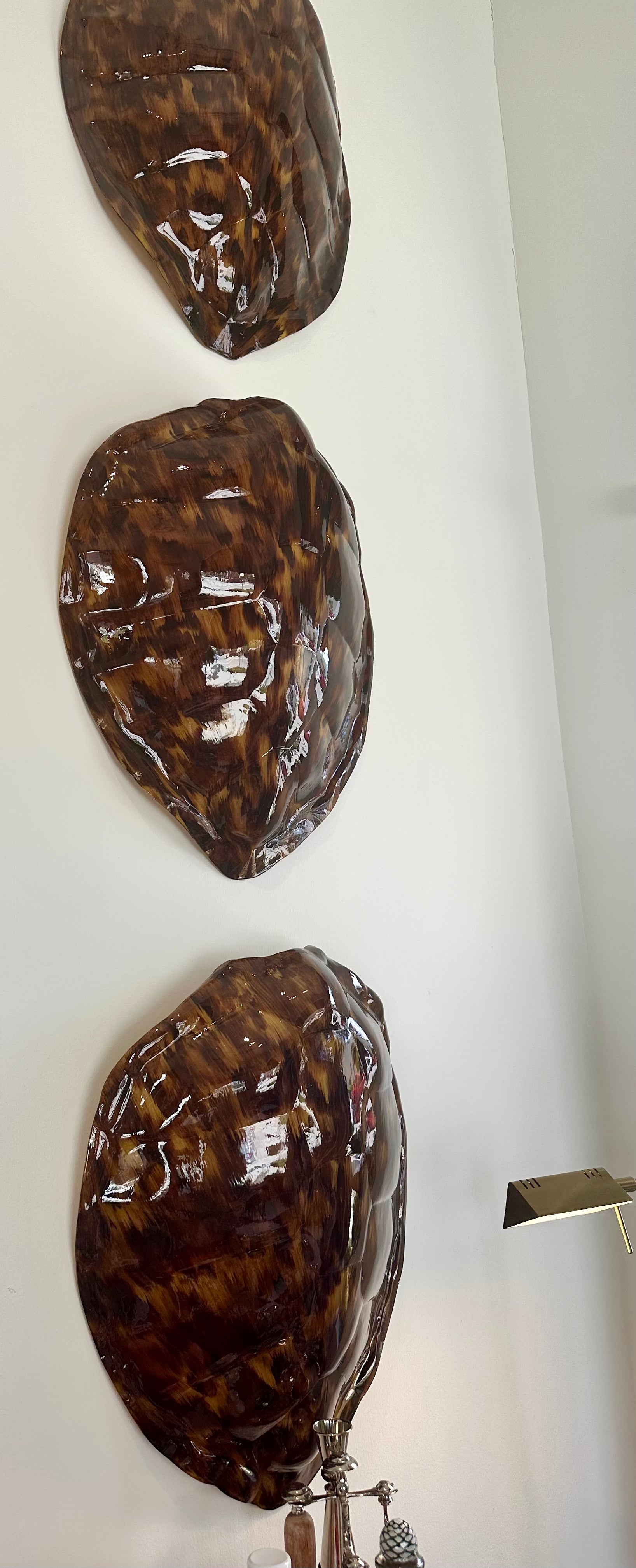 Premium Large Tortoise Shell for Home Decor, DIY Crafts, and Aquarium Accessories | Natural and Durable for Reptile Habitats, Beach Themed Parties, and Coastal Interior Design