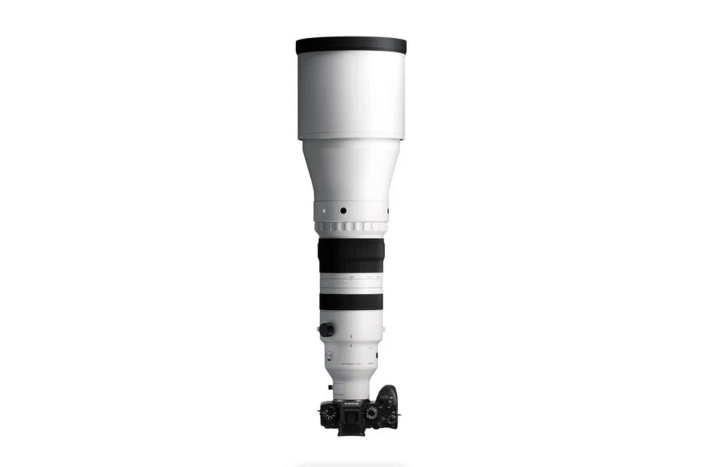 Sigma 300-600mm f/4 DG OS HSM Sports Telephoto Lens for Canon/Nikon/Sony DSLR Cameras - Professional Wildlife, Sports & Bird Photography
