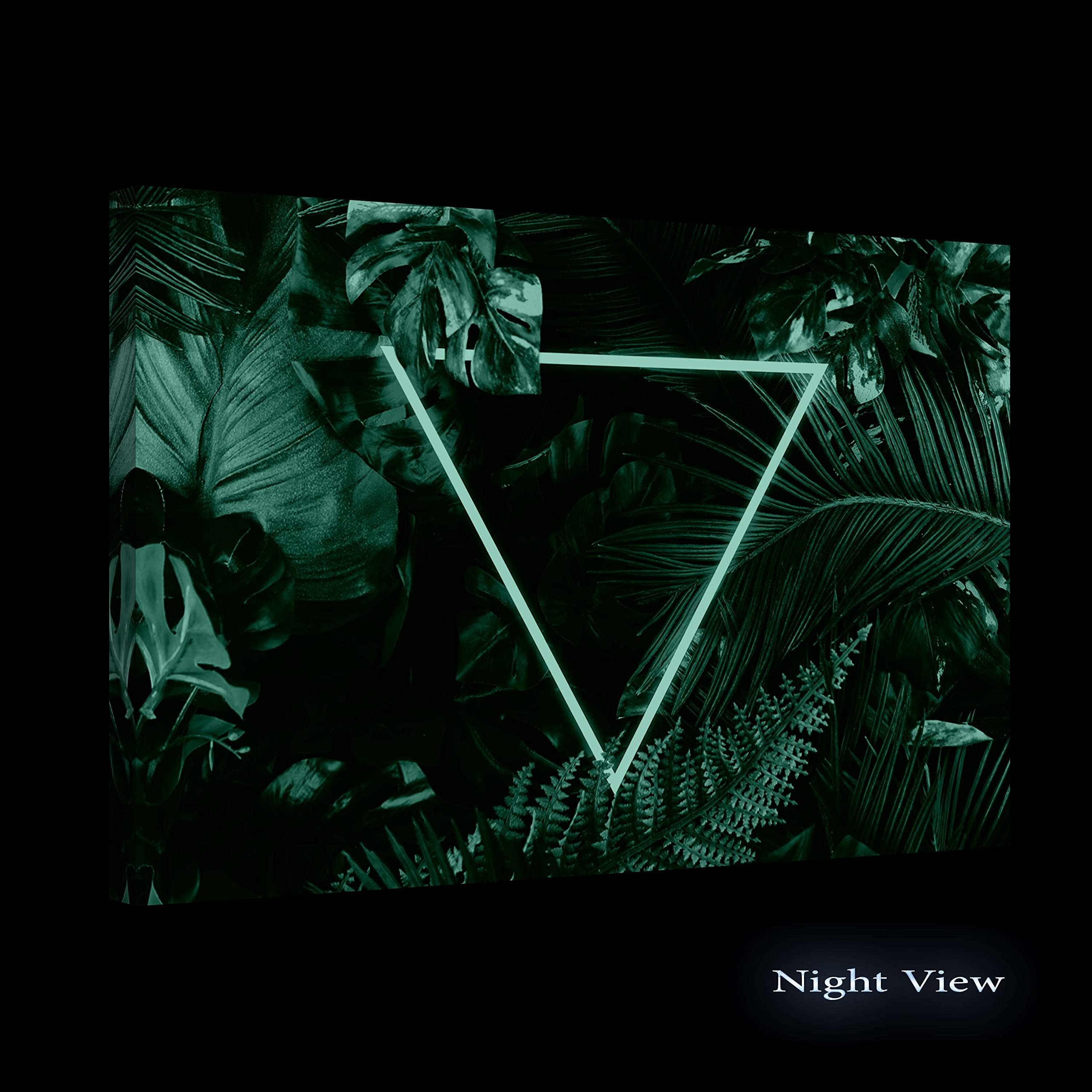 Startonight Modern Canvas Wall Art - Light Triangle & Plants Framed Painting, Large 32x48 Inch Stretched Print for Bedroom, Living Room & Office Decor | Ready to Hang Home Artwork for Contemporary Spaces