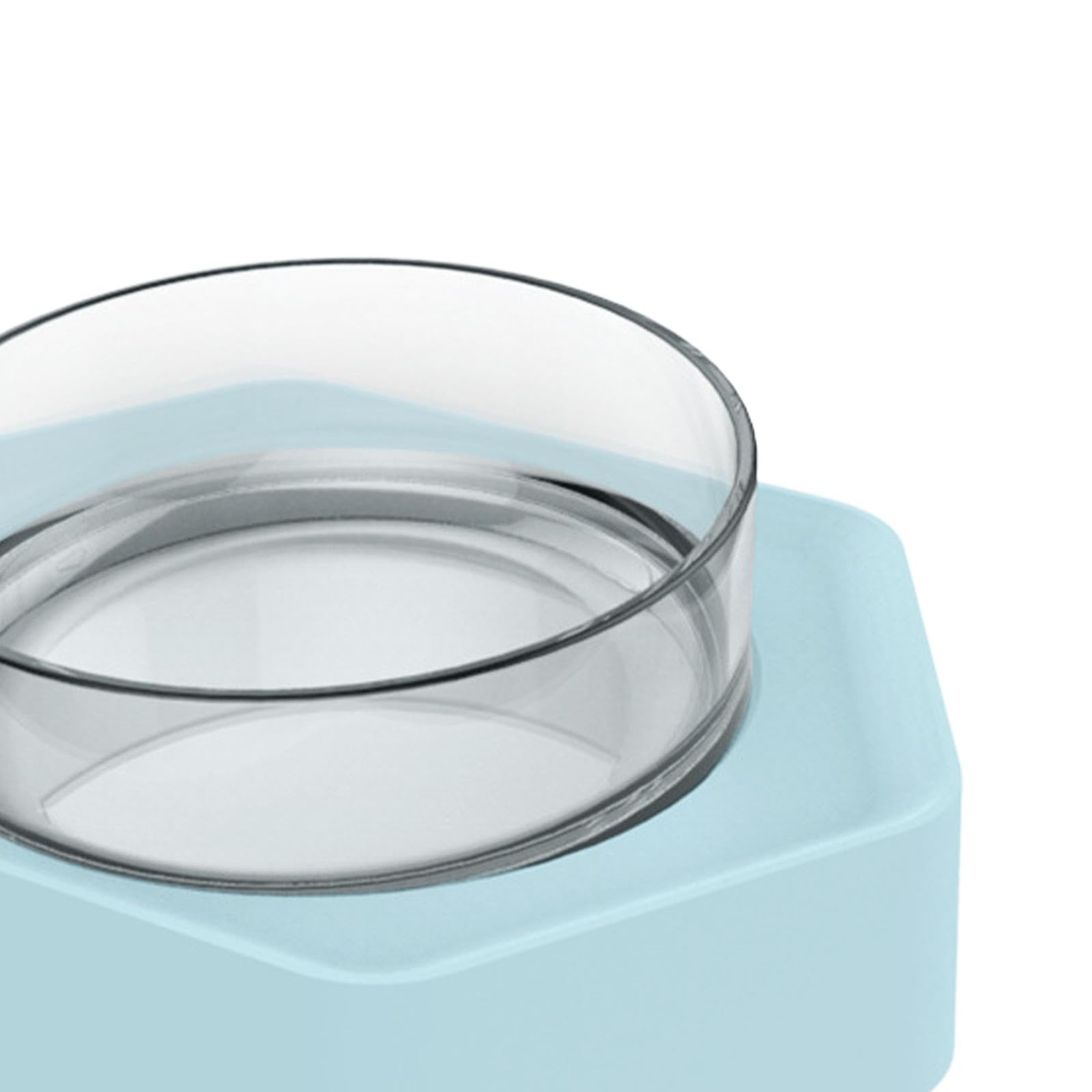 Enakshi Stainless Steel Dog Bowl - Durable Pet Food & Water Dish for Small & Medium Dogs & Kittens - Non-Slip Base, Easy Clean - Perfect for Home, Travel & Outdoor Use - Blue Pet Supplies