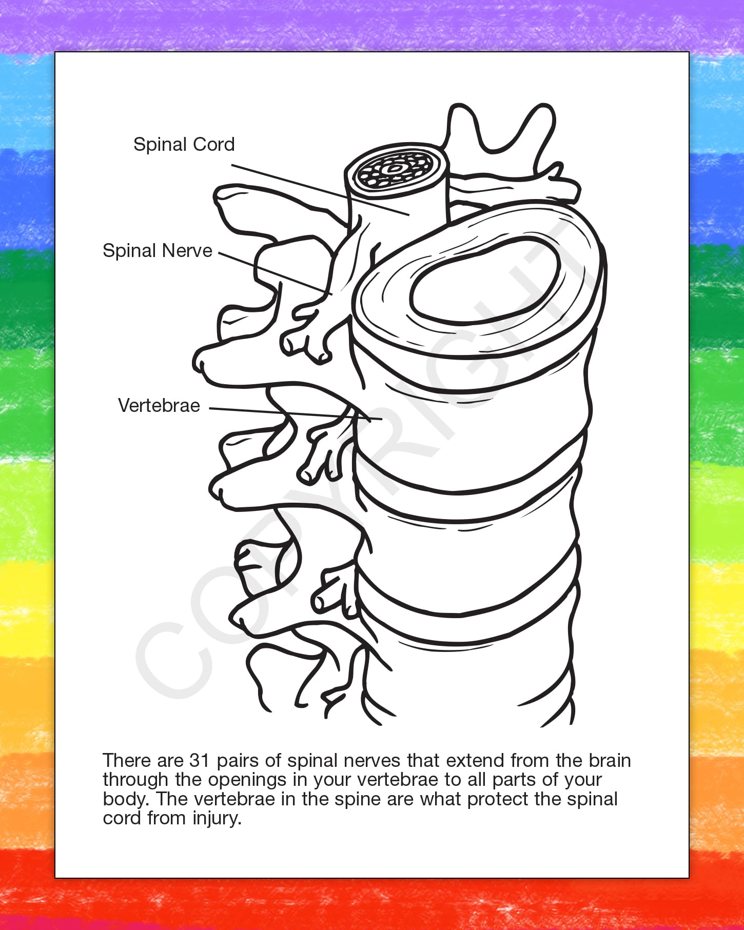 ZOCO Chiropractor Educational Coloring Books - 250 Bulk Pack (No Crayons Included) - Kids Learning Activities, Chiropractic Office Supplies - Perfect for Classroom, Birthday Parties & Doctor's Office Waiting Rooms