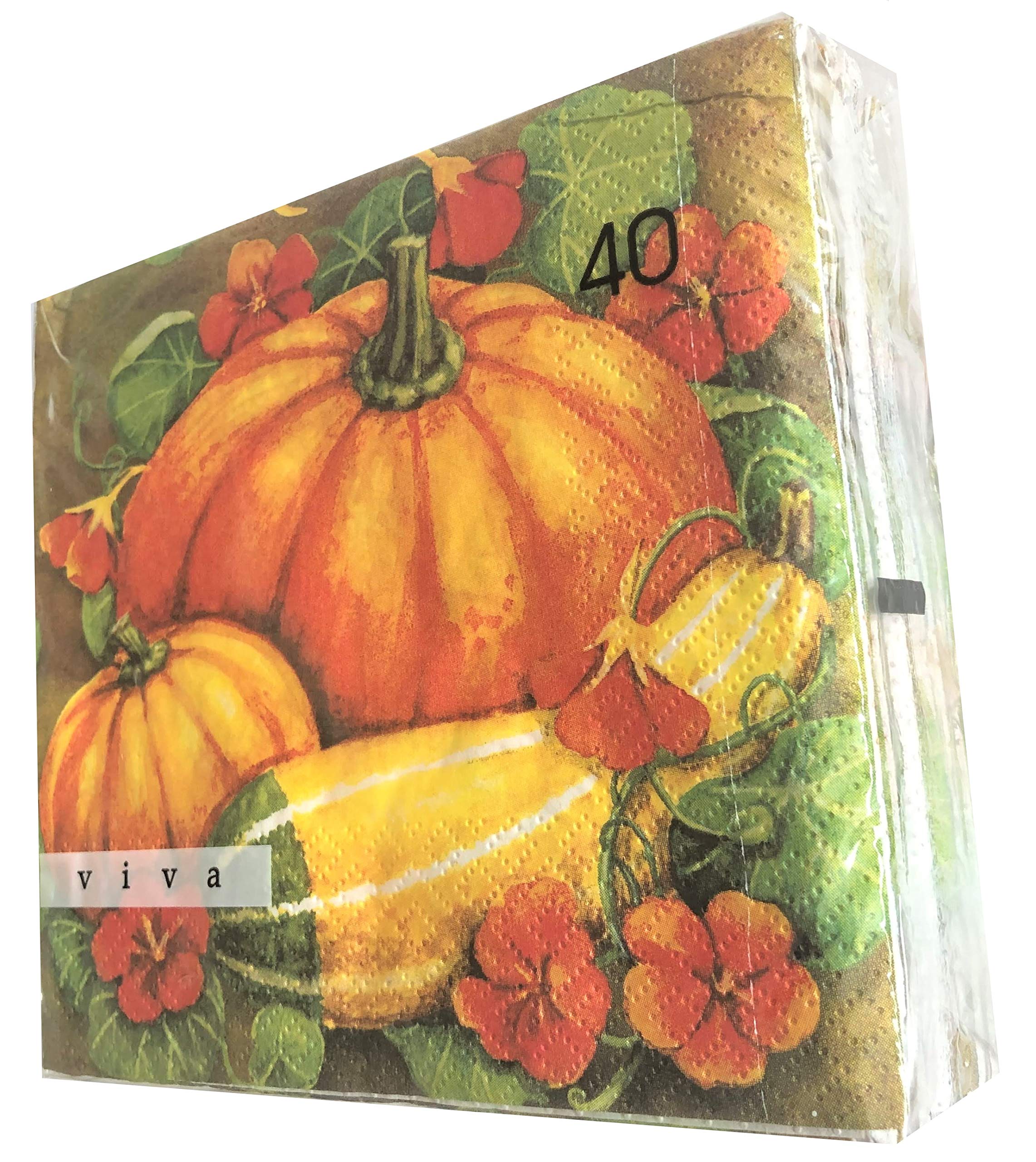 40-Count 13x13 Inch Thanksgiving Paper Napkins - Pumpkin & Fall Themed Decorative Dinner Napkins for Holiday Table Setting, Autumn Parties, and Home Decor