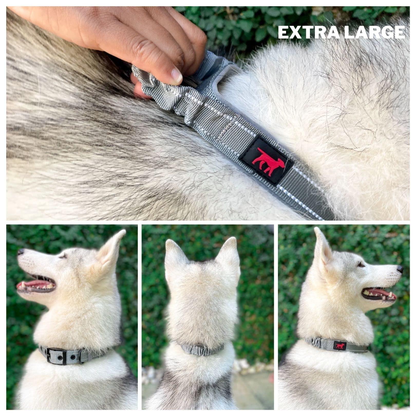 Tuff Pupper Avail Heavy Duty Dog Leash and Collar Set (19-23