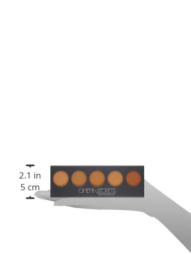 CINEMA SECRETS Pro Cosmetics Ultimate Foundation 5-In-1 Pro Palette - 300 Series | Professional Makeup Kit for Flawless Coverage | Perfect for Bridal, Photo Shoots & HD Camera Makeup