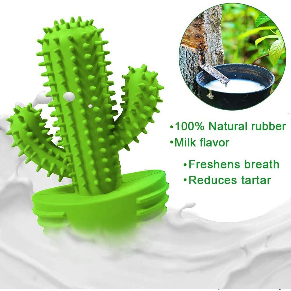 Durable Rubber Dog Chew Toys for Teeth Cleaning - Dental Chew Stick Toothbrush for Small, Medium & Large Dogs - Tough Squeaky Cactus Toy for Aggressive Chewers | Perfect for Puppy Teething, Dental Care & Playtime