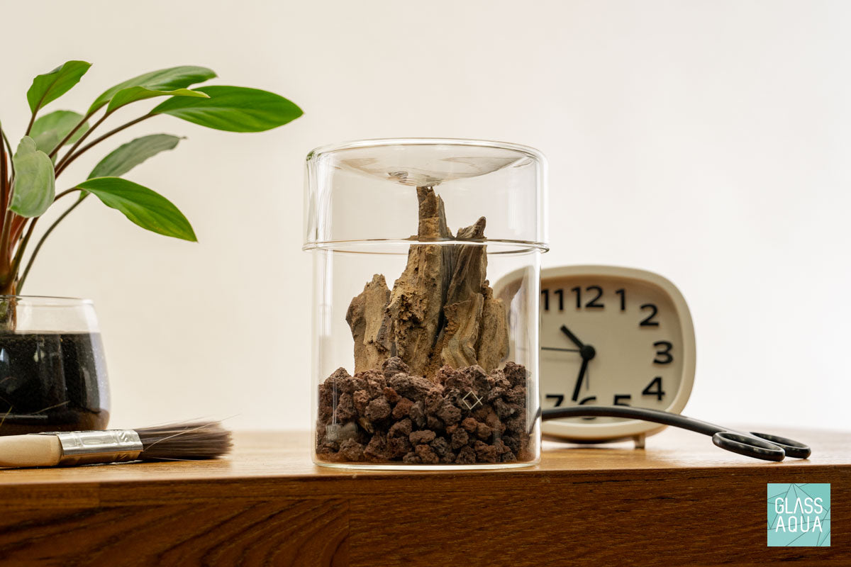 Miniature Terrarium Kit 009 - DIY Glass Garden with Succulents & Moss for Home Decor, Office Desk, or Gift Idea | Creative Indoor Gardening Project for Plant Lovers