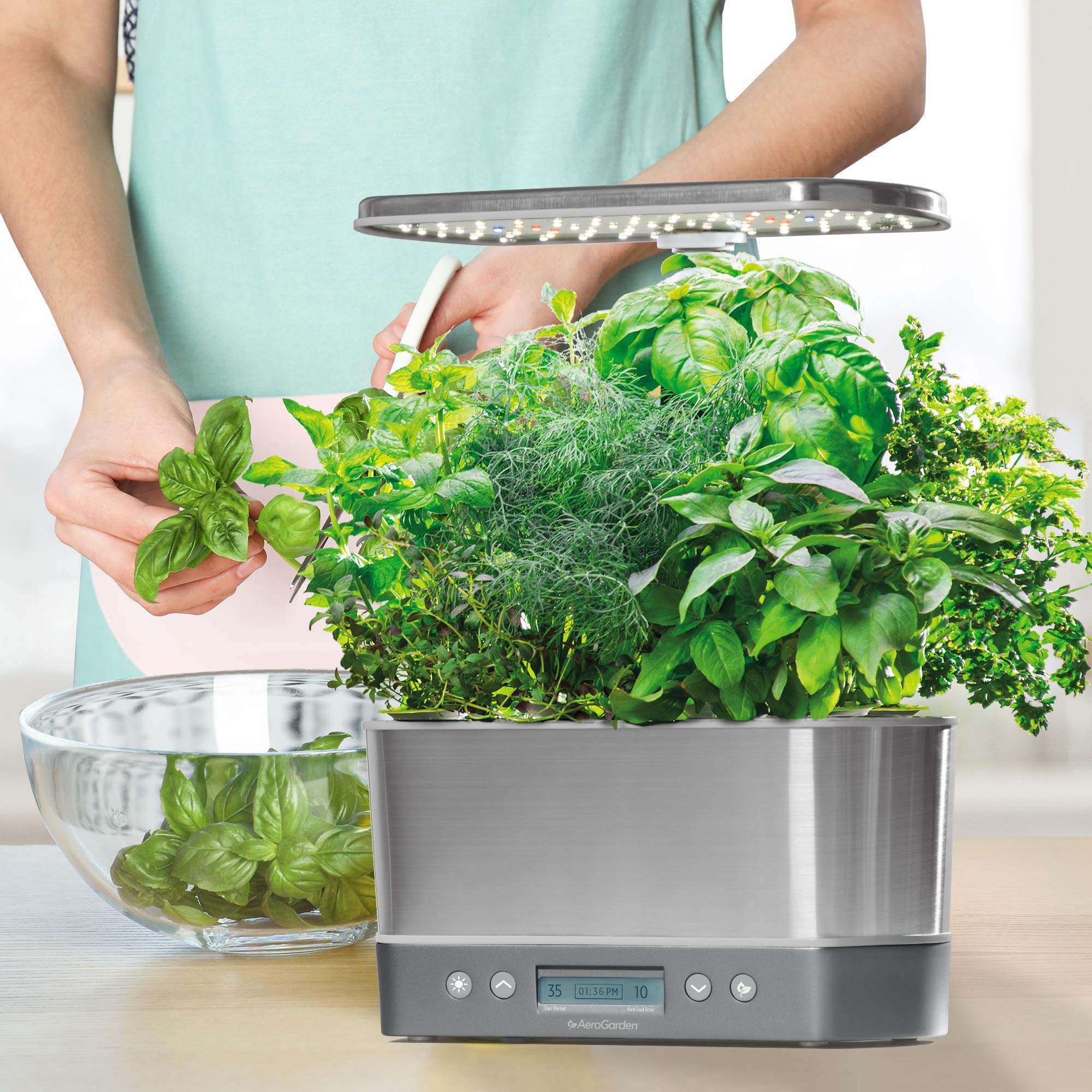 AeroGarden Harvest Elite LED Indoor Hydroponic Garden System with Heirloom Salad Greens Seed Pod Kit - Perfect for Home Gardening, Fresh Herbs & Vegetables Year-Round