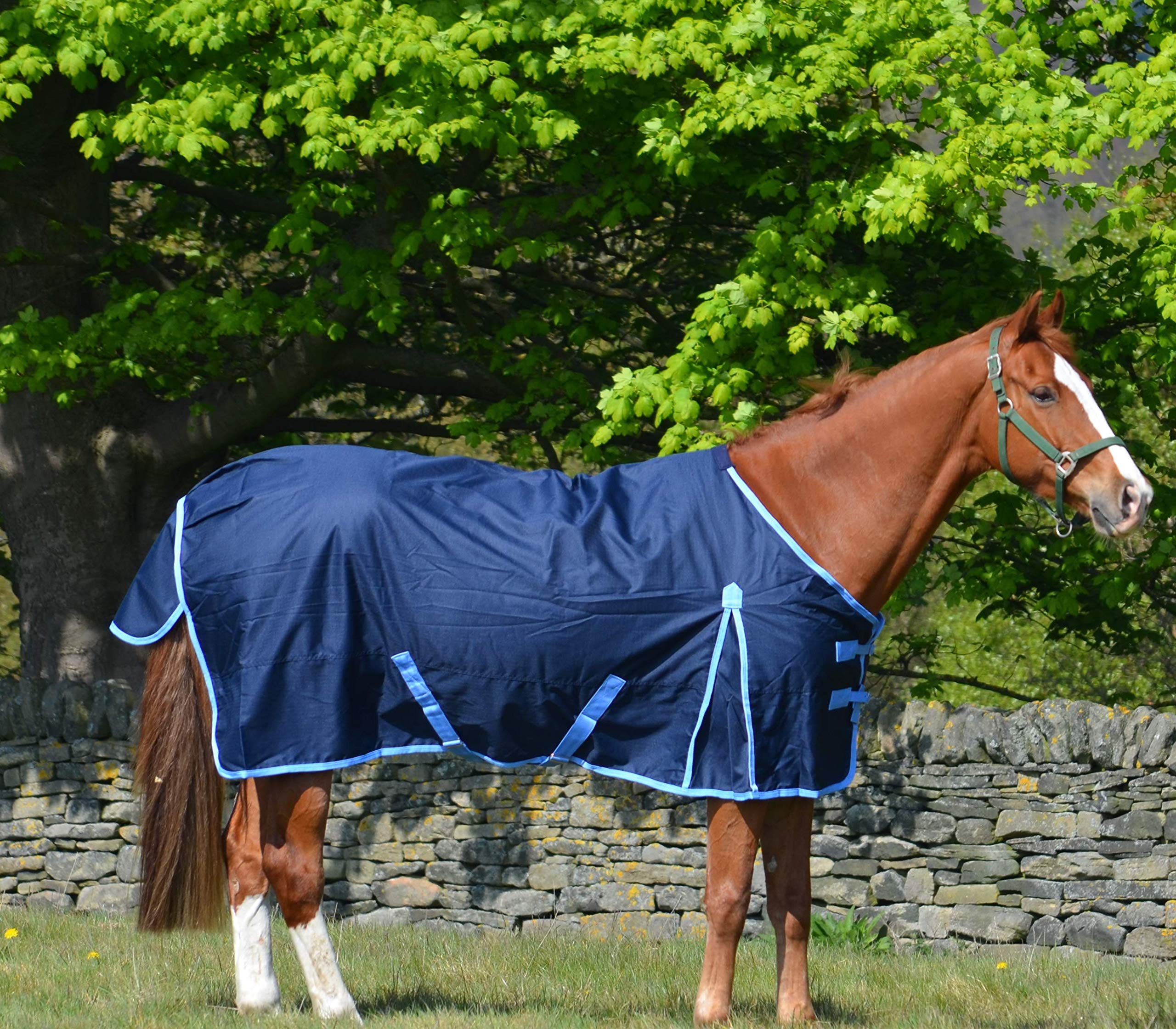 600D Navy Blue Medium Weight Waterproof Horse Turnout Rug with 200g Fill - 78 Inch for Winter Pasture & Stable Use - Durable Equine Blanket for Cold Weather Protection