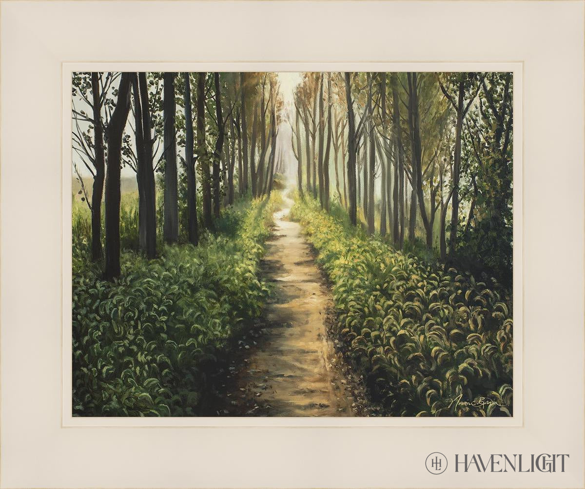 Forest Walkway - Beautiful Wooden Pathway for Gardens, Parks & Trails | Perfect for Outdoor Decor & Nature Walks
