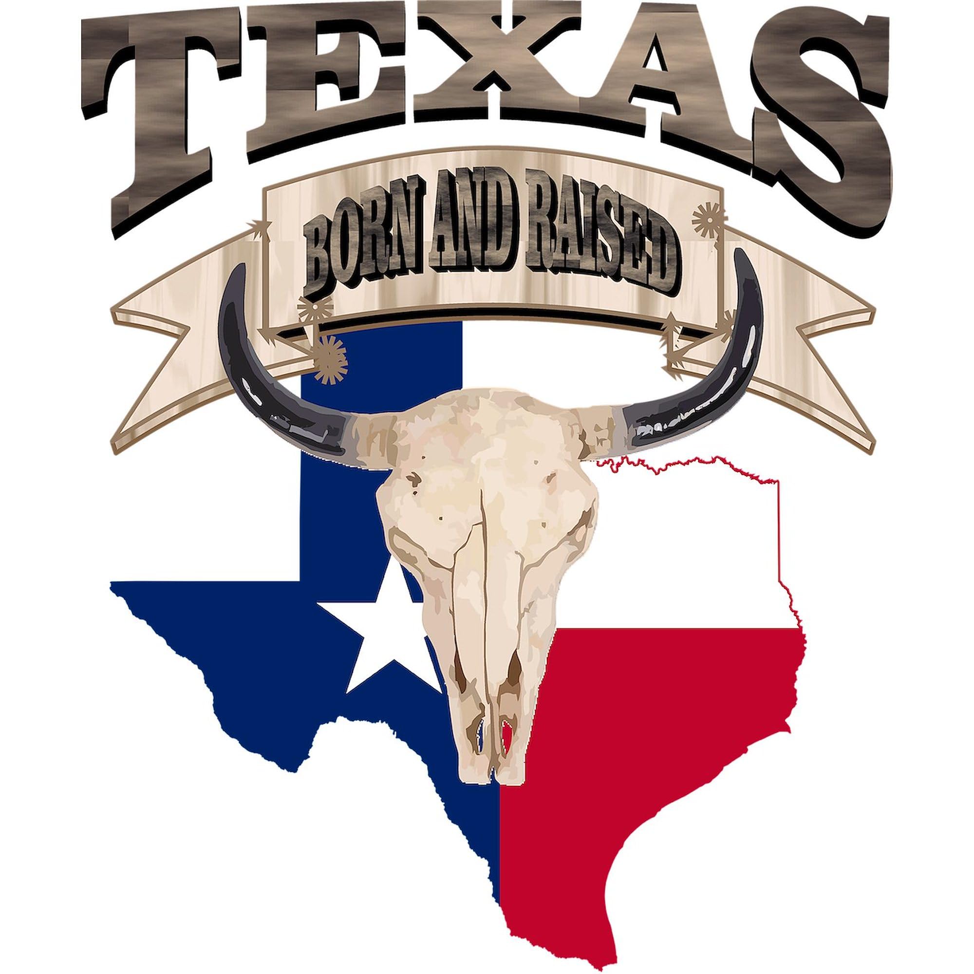 100 Pack Bull Skull Texas Home Decor Refrigerator Magnets - Western Style Rectangle Fridge Magnets for Kitchen, Office, Dorm & Cabin Decor