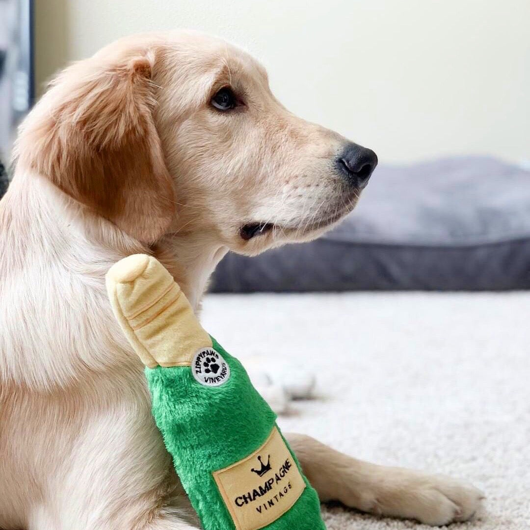 Happy Hour Crusherz Champagne Plush Dog Toy by ZippyPaws - Fun Squeaky Interactive Playtime Gift for Pets, Perfect for Parties & Celebrations