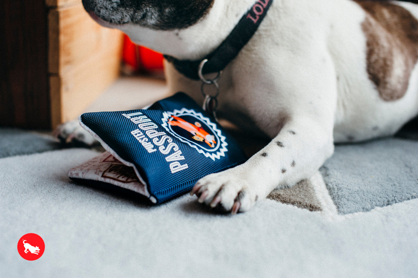 El Pasaporte Dog Plush Toy - Globetrotter Travel Companion for Dogs | Soft & Durable Chew Toy | Perfect for Travel, Playtime & Cuddling | Pet P.L.A.Y.
