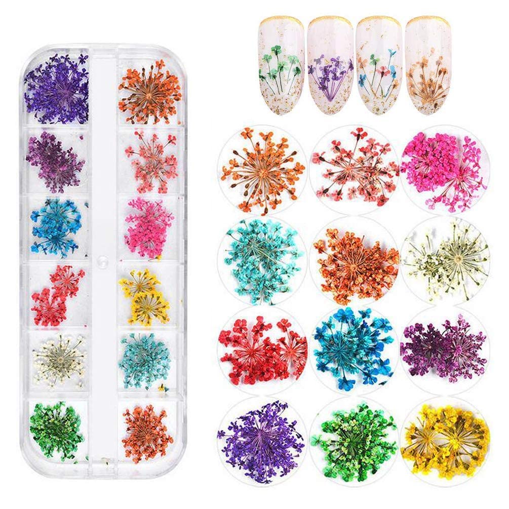 12 Colors Natural Dried Flowers for Nail Art - Mini Real Dry Flowers Nail Decorations, 3D Nail Applique Stickers for Manicure & Nail Art Designs | Perfect for DIY Nail Art, Wedding Nails, and Salon Professional Use