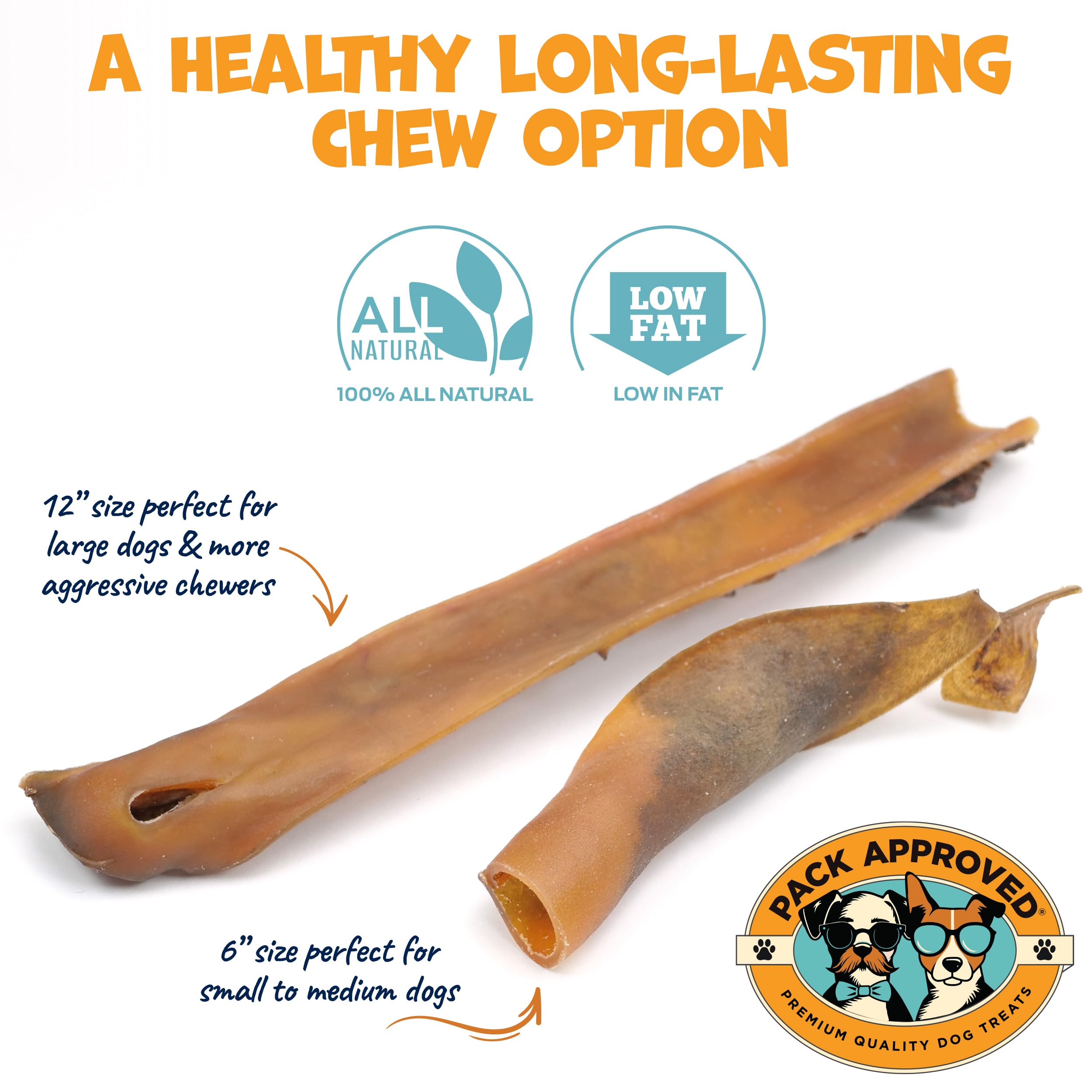 Premium Camel Skin Dog Chews for Aggressive Chewers - Natural Hypoallergenic Collagen Dental Sticks for Small & Medium Dogs - Long-Lasting Protein Treats for Teeth Cleaning & Joint Health - Perfect for Training Rewards and Anxiety Relief
