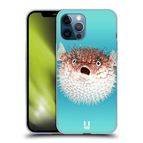 Frontal View Of Porcupinefish