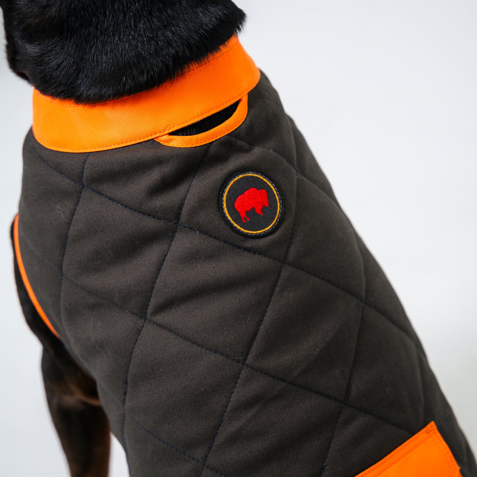 Highland Dog Vest for Small & Large Breeds - Warm & Stylish Winter Coat for Dogs - Perfect for Outdoor Walks, Hiking & Cold Weather Adventures