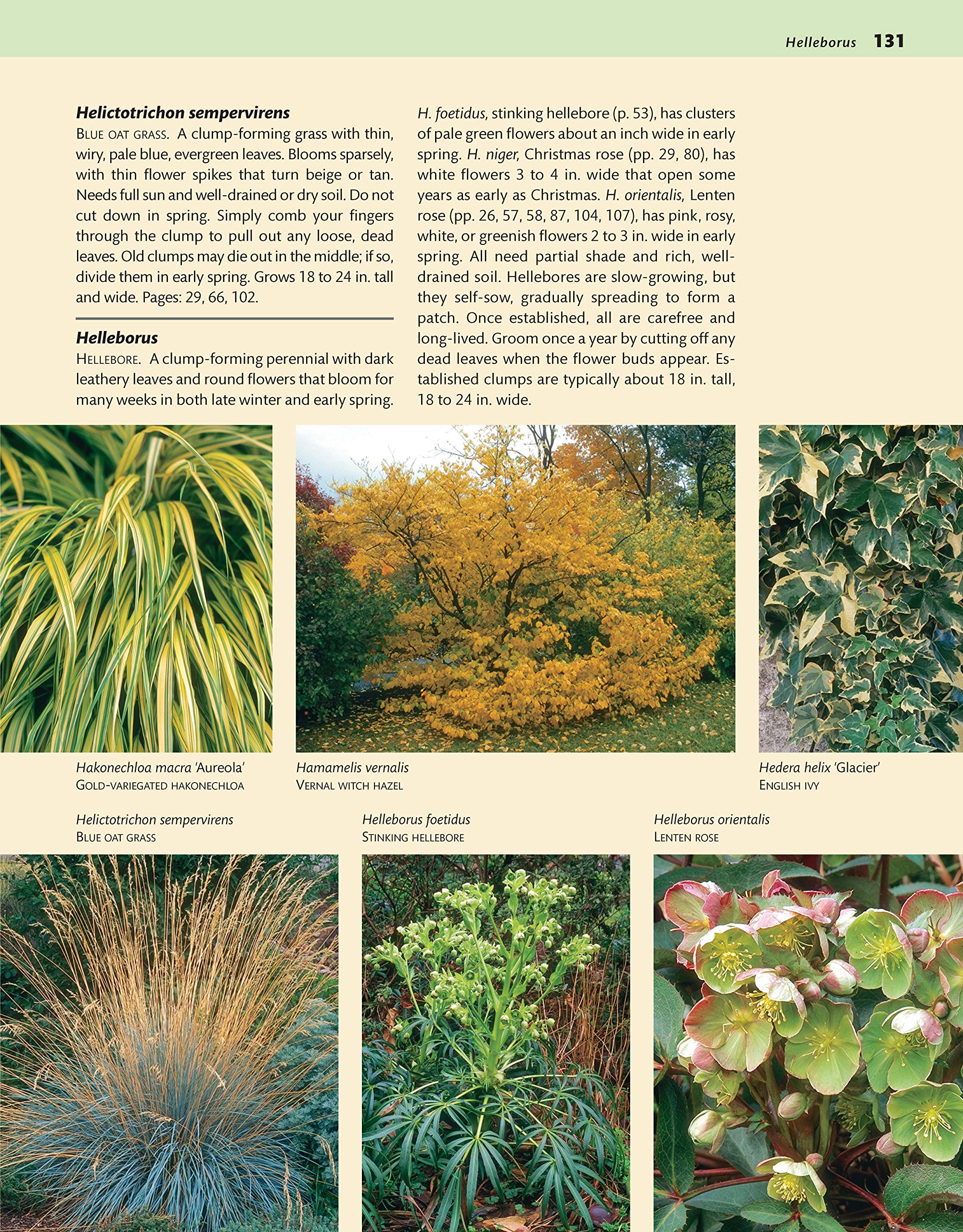 Mid-Atlantic Home Landscaping Guide - 3rd Edition | 400+ Color Photos, 200 Plants & 46 Outdoor Design Ideas for Beautiful & Functional Yards | Perfect for DIY Gardeners & Landscape Designers