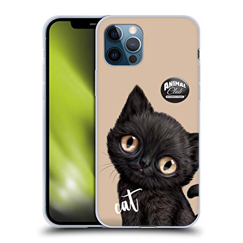 Black Cat