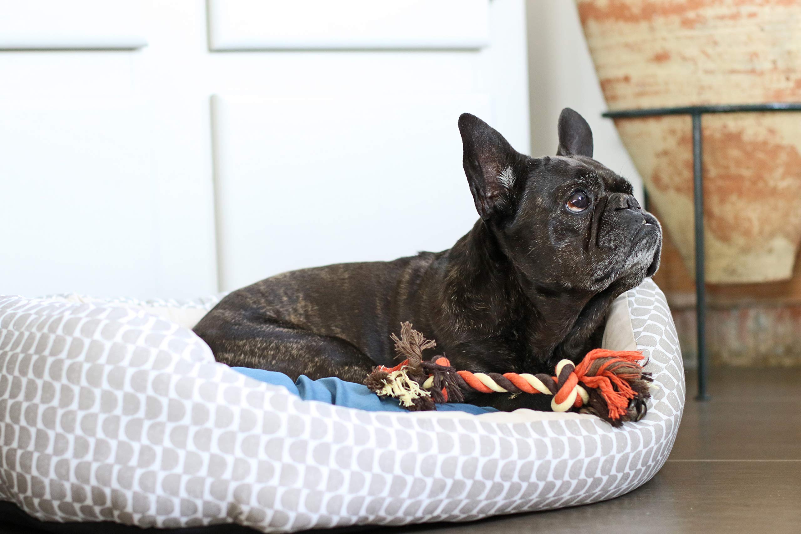 Durable Cotton Rope Dog Toy - 15cm Chew-Resistant Puppy Teething Toy for Small & Medium Dogs - Perfect for Fetch, Tug-of-War & Dental Health