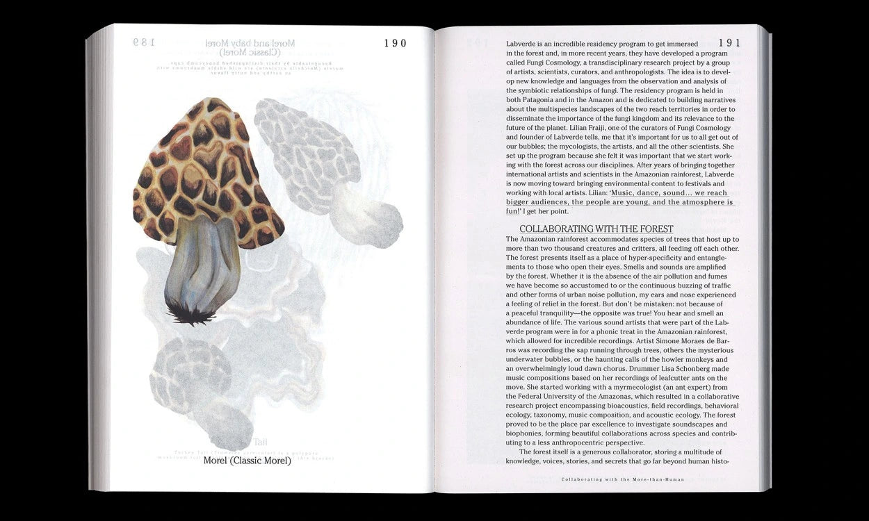 Let’s Become Fungal! Mycelium Teachings and Arts Book by Yasmine Ostendorf Rodríguez - Explore Mushroom Cultivation, Nature Connection & Creative Inspiration for Artists and Gardeners