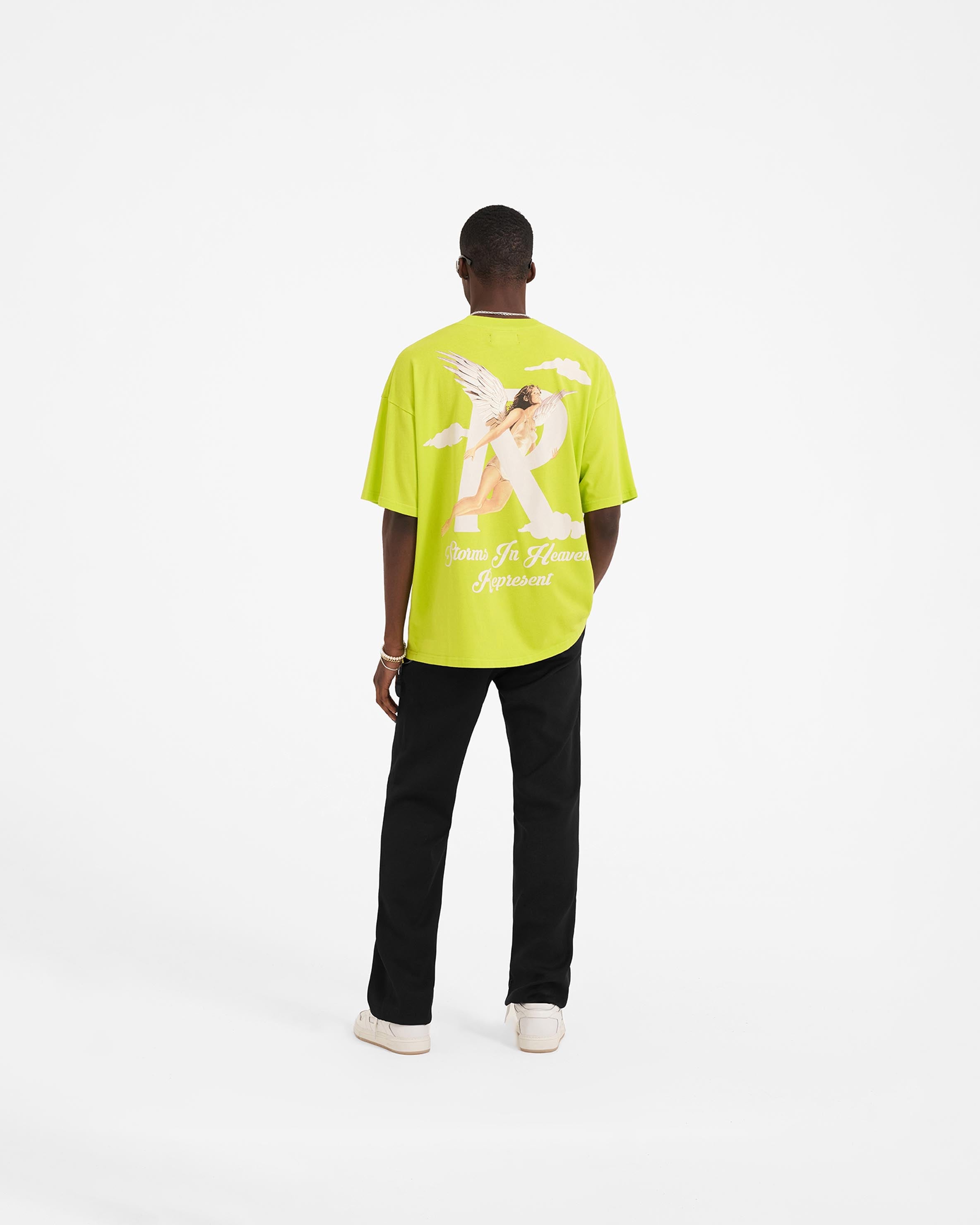 Storms in Heaven Graphic T-Shirt - Soft Cotton Kiwi Print Tee for Men & Women - Perfect for Casual Wear, Street Style, and Everyday Outfits
