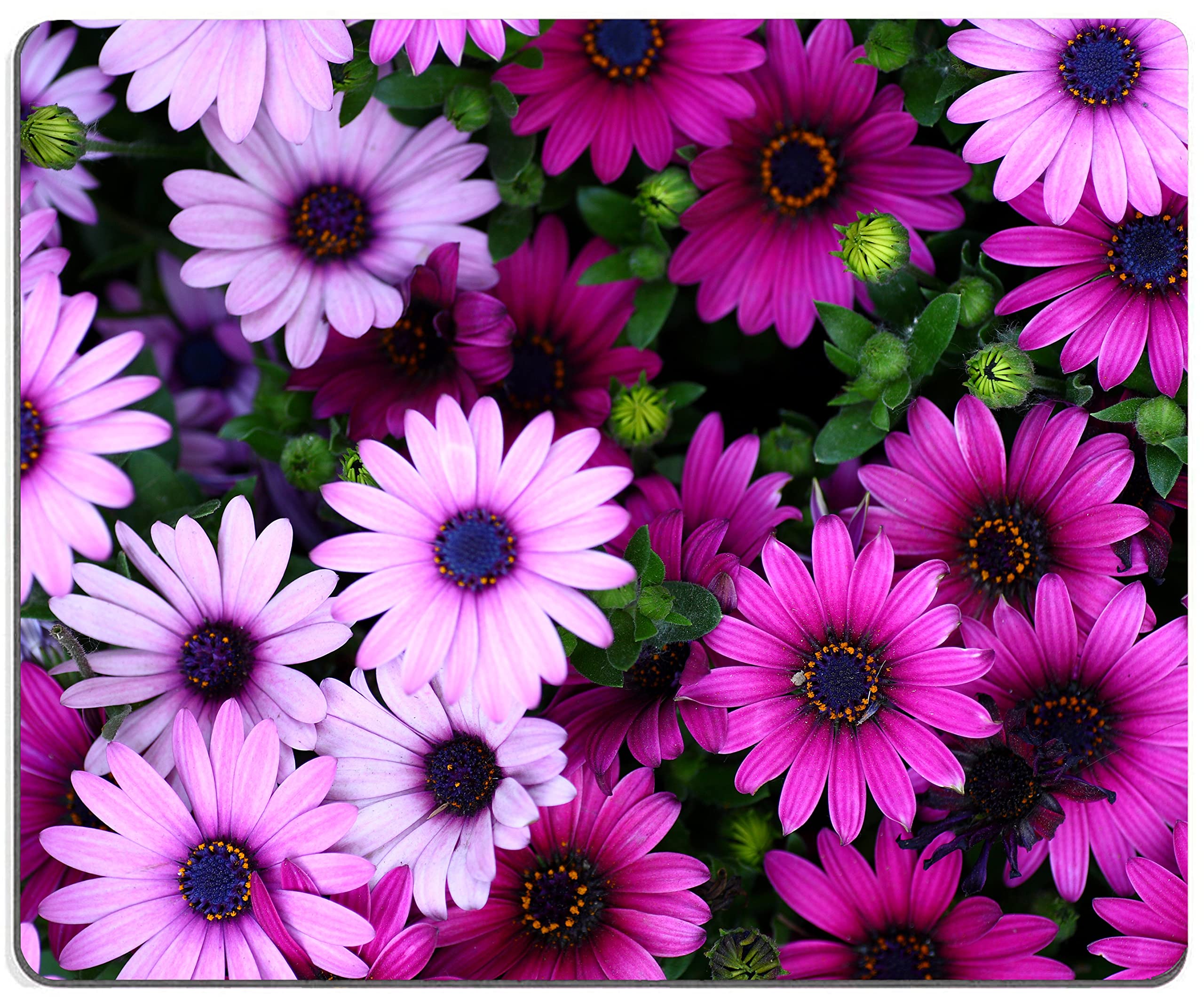 Hokafenle Purple Floral Mouse Pad - Non-Slip Rubber Base, Waterproof Square Mouse Mat for Wireless Mouse, Office & Laptop Use - Perfect for Women's Workspace & Home Office Decor