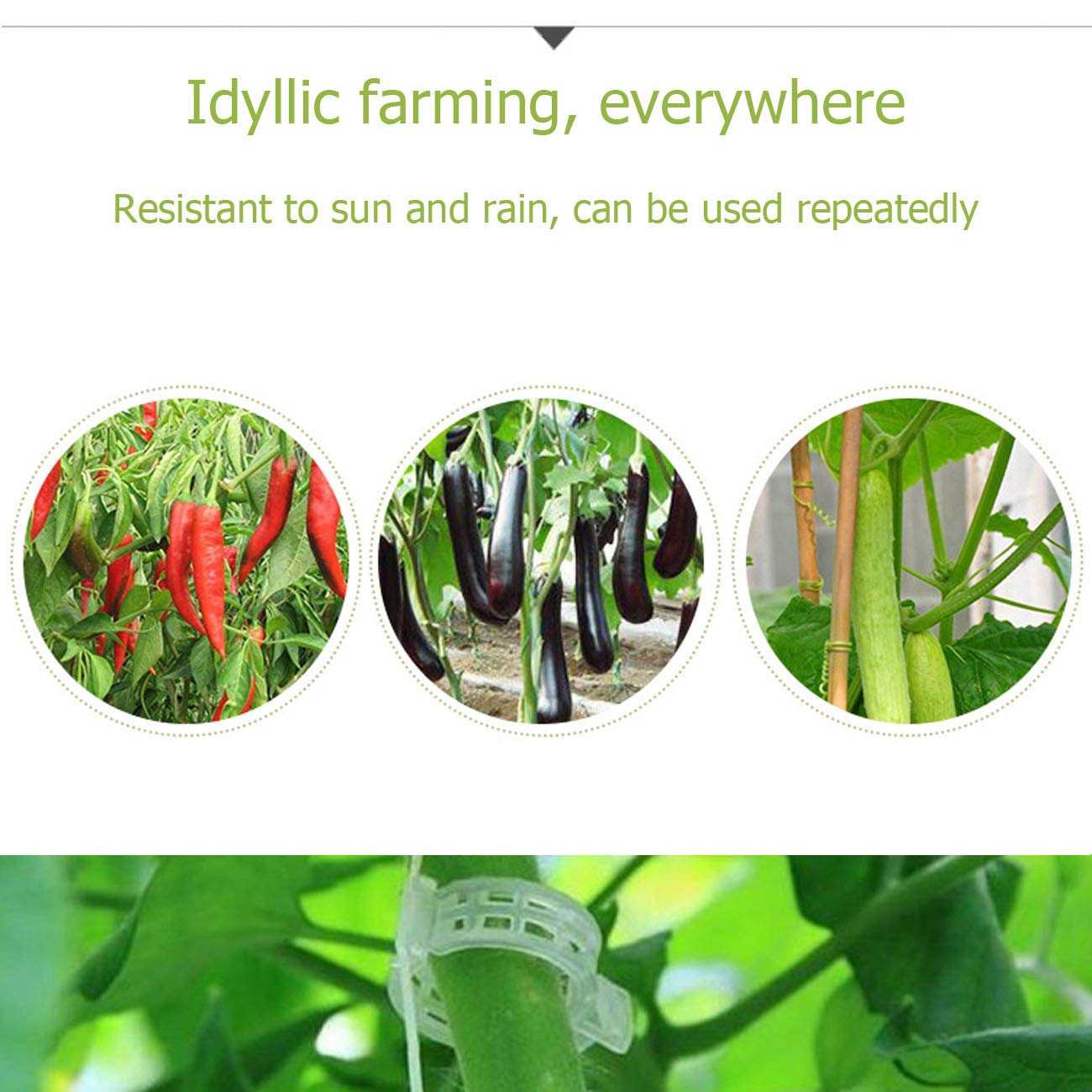 200PCS Plant Support Clips - Heavy Duty Tomato Vine Clips for Fixing Tomatoes, Peppers, Eggplants & Fruit Vegetables | Garden Plant Ties for Healthy Growth & Stronger Stems | Perfect for Greenhouse, Backyard & Indoor Gardening