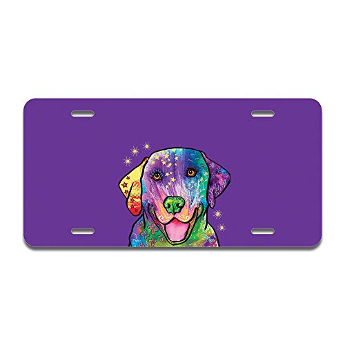 Golden Retriever Rainbow