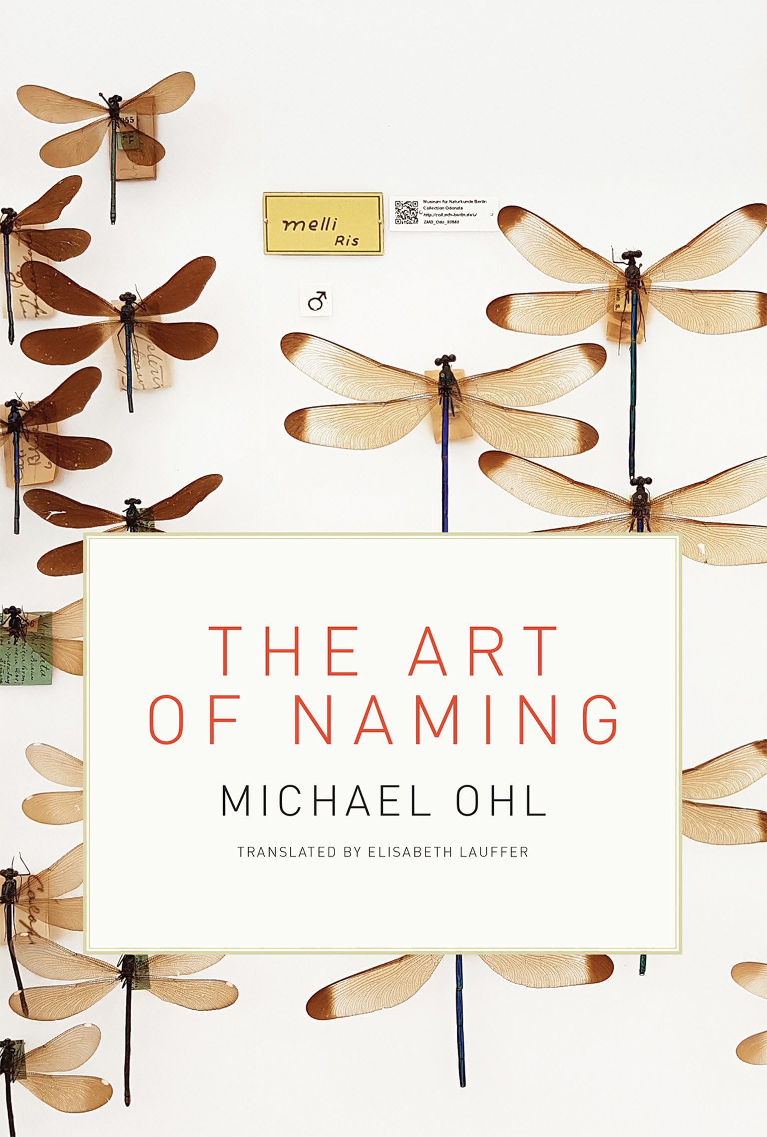 The Art of Naming (MIT Press) - Essential Guide to Creative Branding & Product Naming Strategies for Entrepreneurs & Marketers | Perfect for Business Development & Branding Workshops