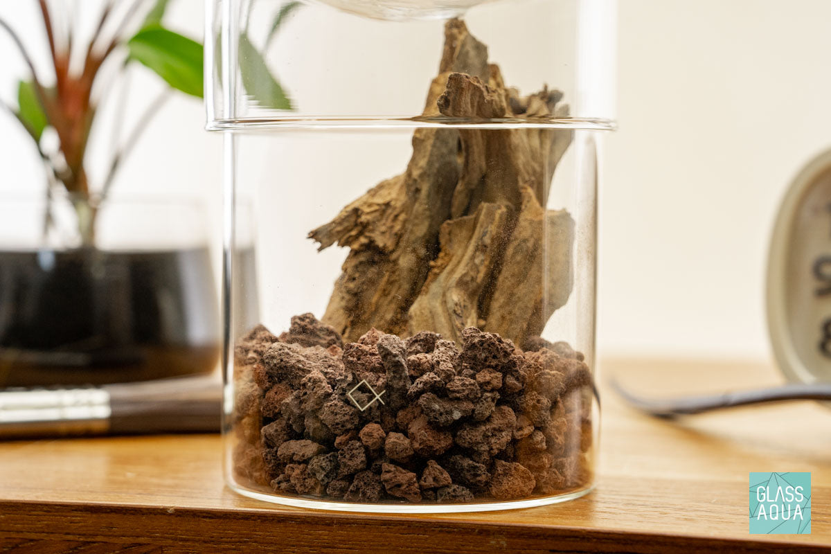 Miniature Terrarium Kit - DIY Glass Garden with Succulents & Moss - Perfect for Home Decor, Office Desk, or Gift Giving - Create Your Own Tiny Ecosystem