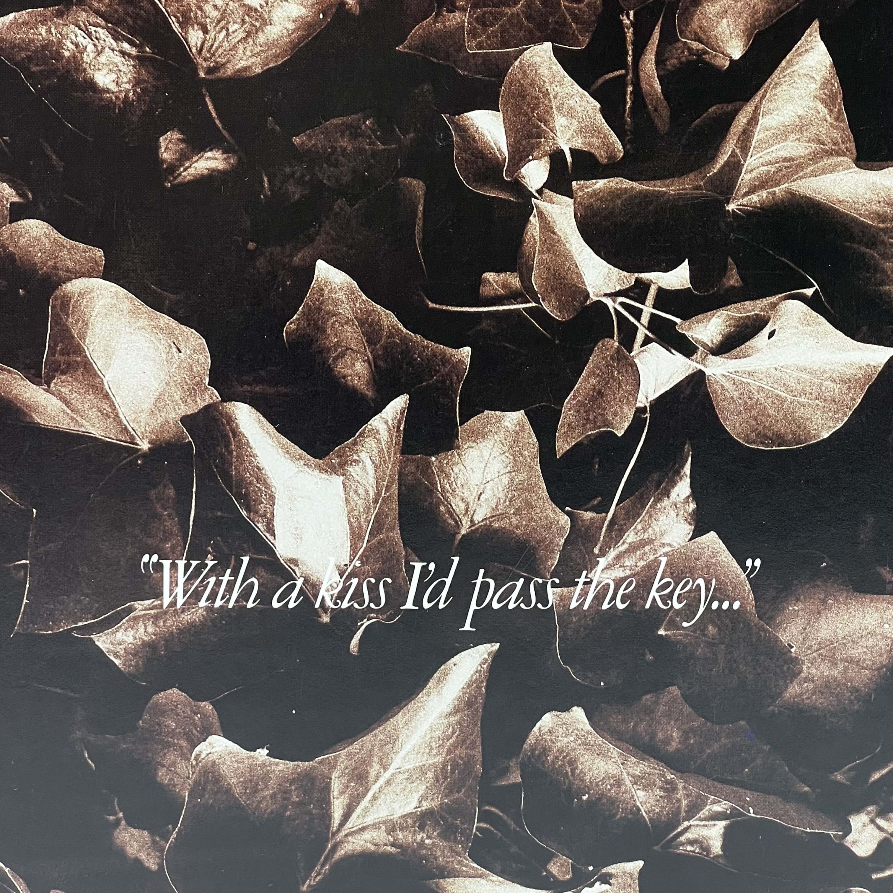 Kate Bush Official Merchandise & Music Albums | Vinyl, CDs, Posters & More – Perfect for Fans & Collectors | Home Decor, Gifts & Music Lovers