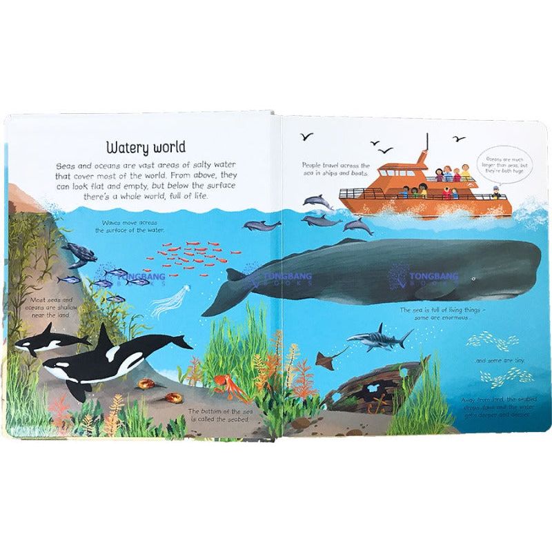 My First Seas & Oceans Book - Educational Marine Life Picture Book for Kids | Perfect for Homeschooling, Classroom Learning & Bedtime Stories
