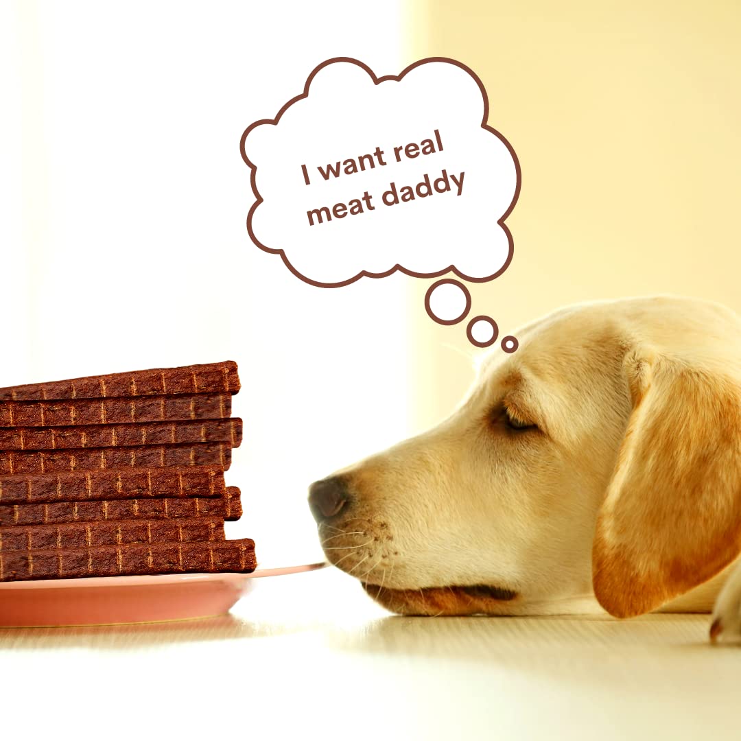 Premium 1lb Natural Dog Jerky Treats - Healthy Smoked Beef, Chicken & Salmon Chews with Blueberry | High Protein Training & Walking Snacks | Perfect for Reward, Travel & Outdoor Adventures