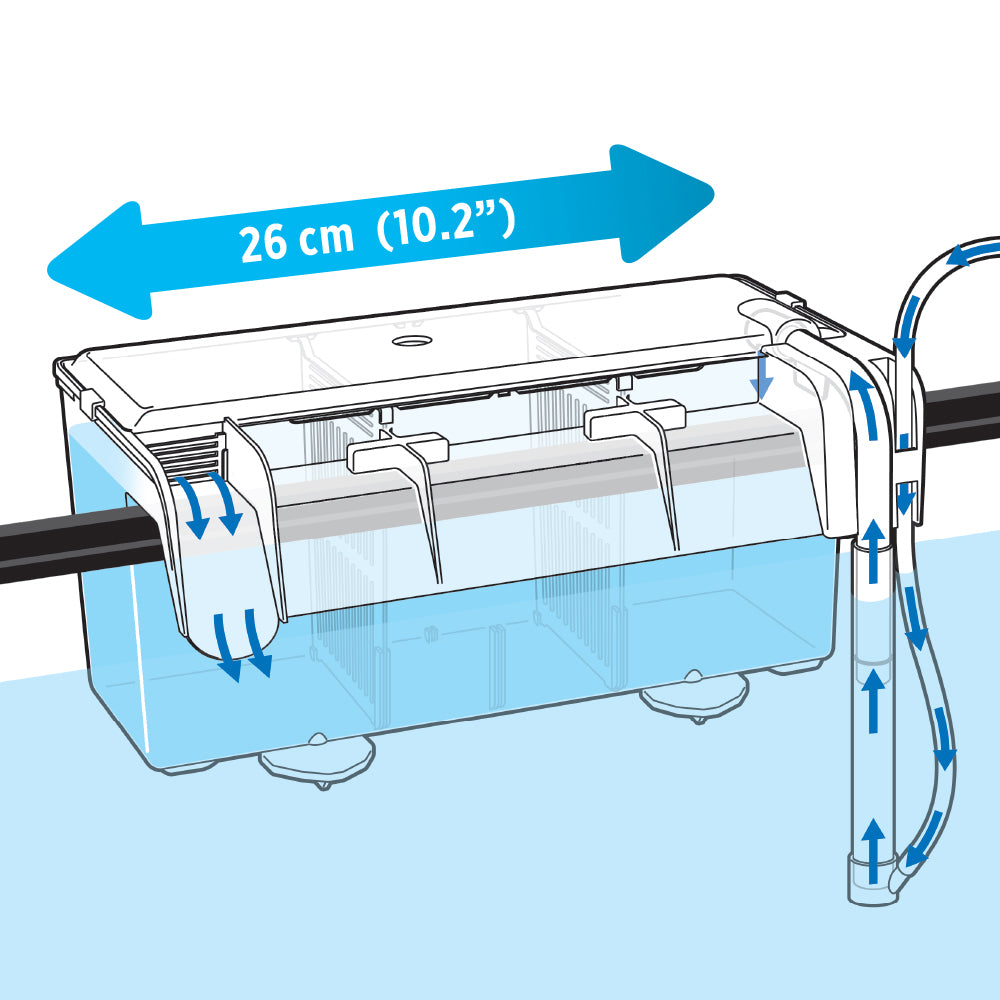 Fluval Multi-Chamber Holding & Breeding Box for Aquarium Fish - Medium & Large Size - Perfect for Fish Breeding, Fry Rearing, and Quarantine Tanks