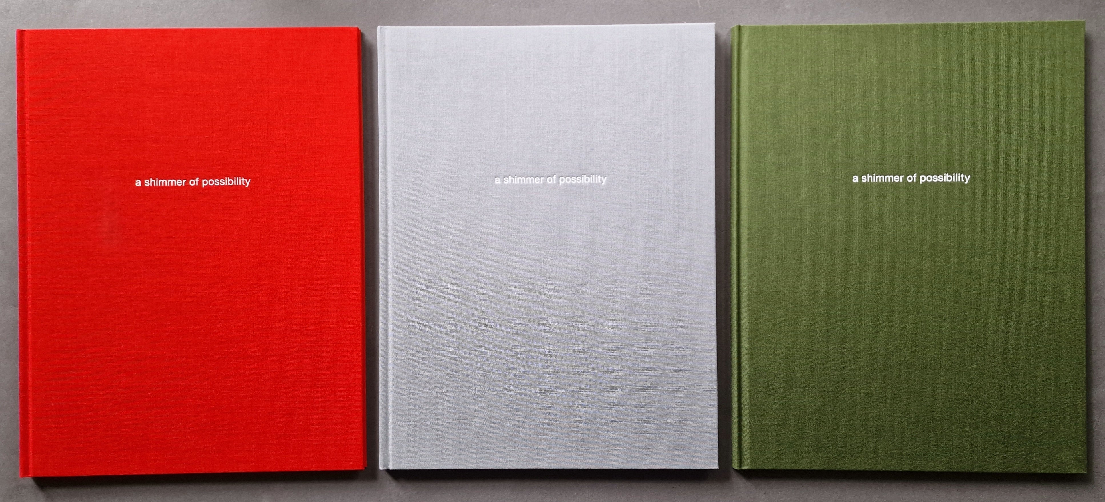 A Shimmer of Possibility (1st Edition) - Perfect for Collectors, Gift Giving & Home Decor