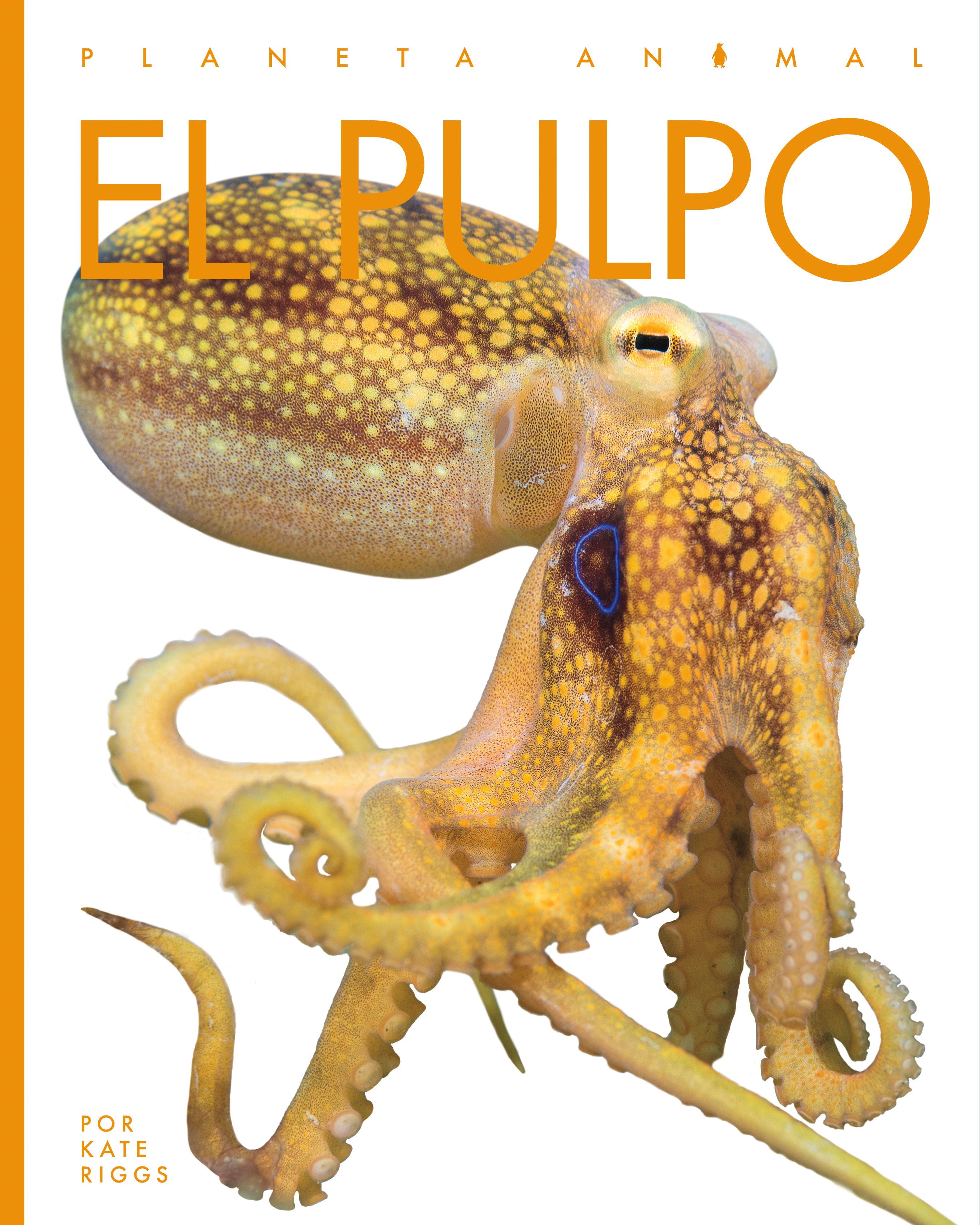 El Pulpo Octopus Book 9781640266957 - Learn About Marine Life, Perfect for Kids & Ocean Enthusiasts