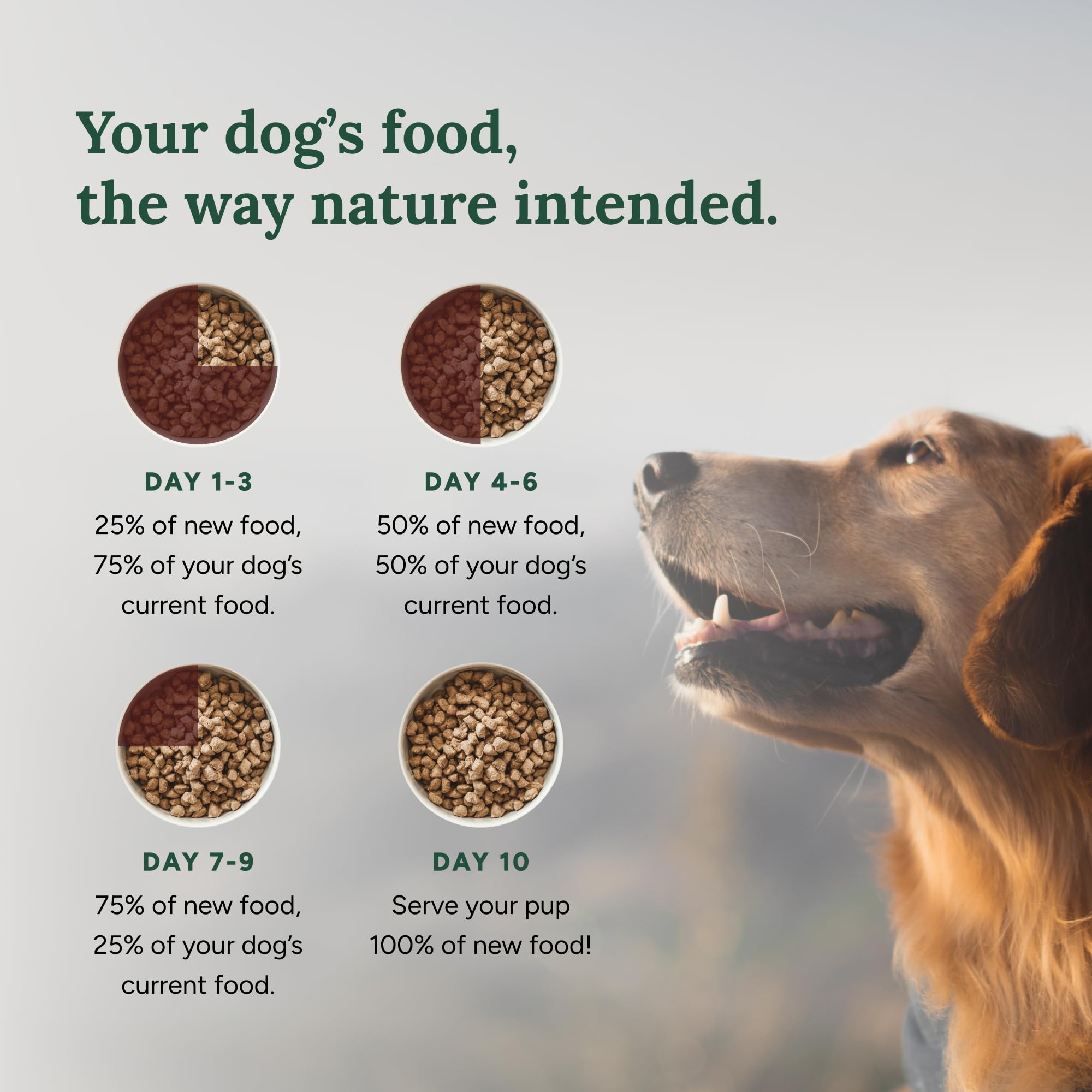 360 Pet Nutrition Freeze-Dried Raw Dog Food - High Protein Chicken Recipe with Liver, Heart, Fruits & Veggies | Grain-Free, No Fillers | 16 oz Kibble for Small & Large Dogs | Perfect for Training, Travel & Daily Meals