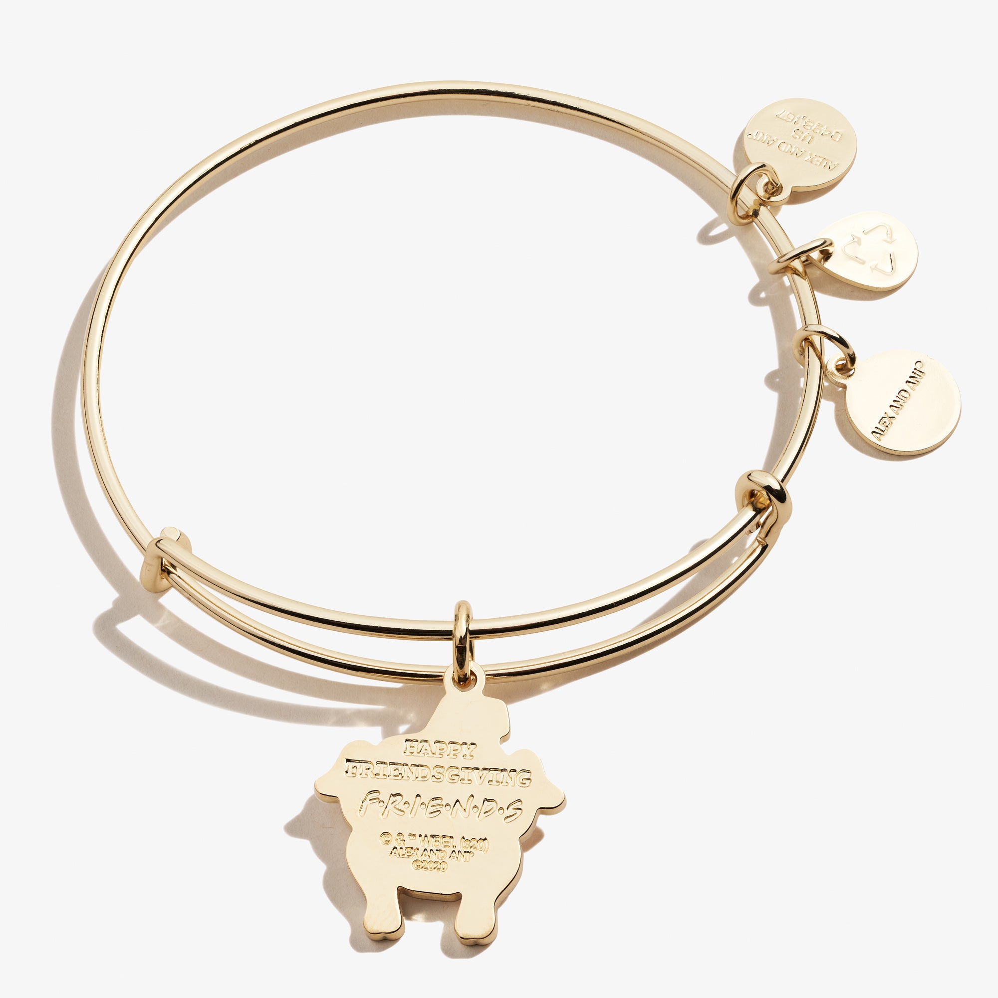 FRIENDS™ Thanksgiving Turkey Charm Bracelet - Stylish Holiday Jewelry for Friendsgiving & Thanksgiving Celebrations