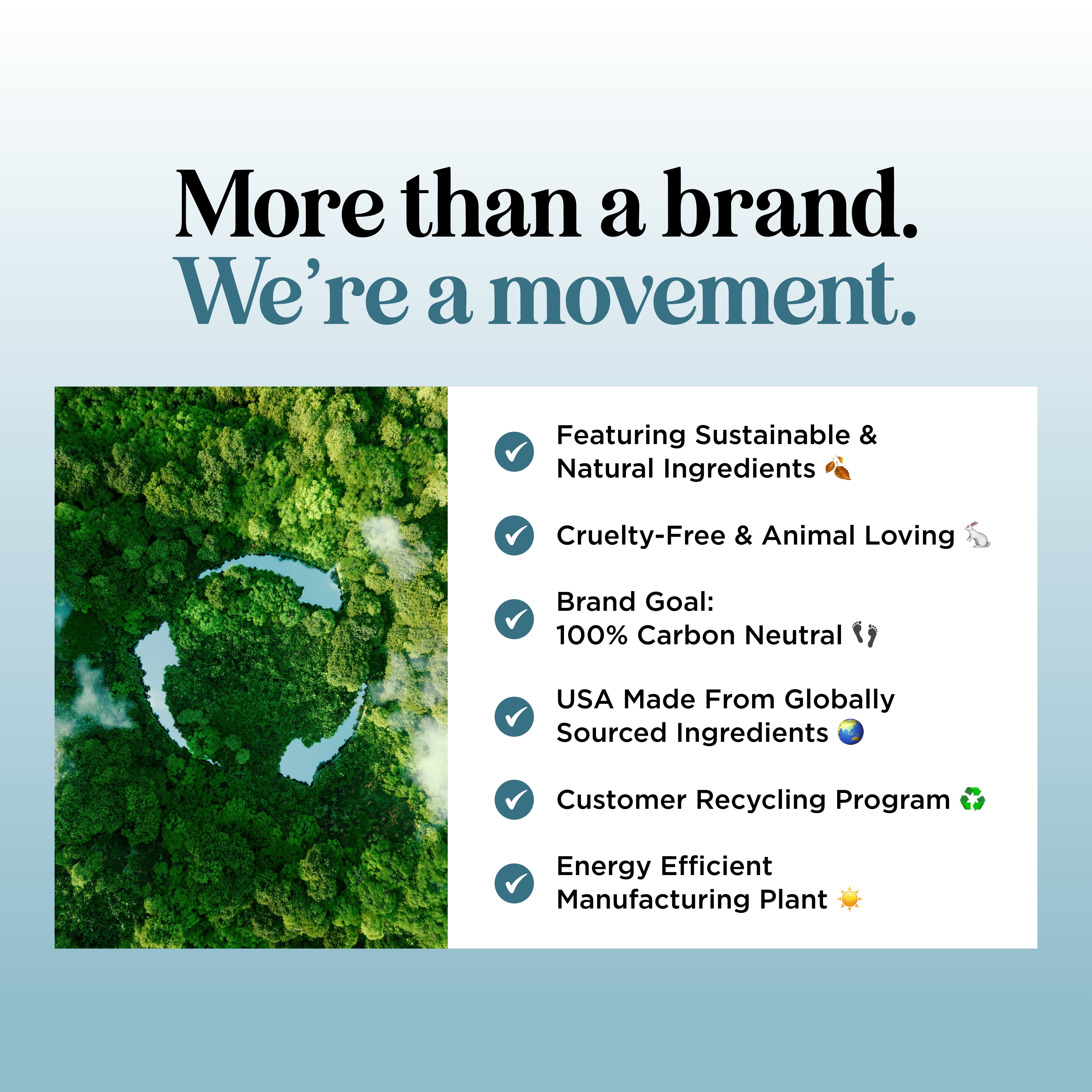 Tea Tree & Rosemary Shampoo for Hair Growth & Scalp Care - Natural Volumizing Shampoo for Thinning Hair - Daily Use for Men & Women - Perfect for Dry, Itchy Scalp & Dandruff Relief