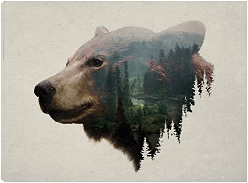 Pacific Northwest Black Bear